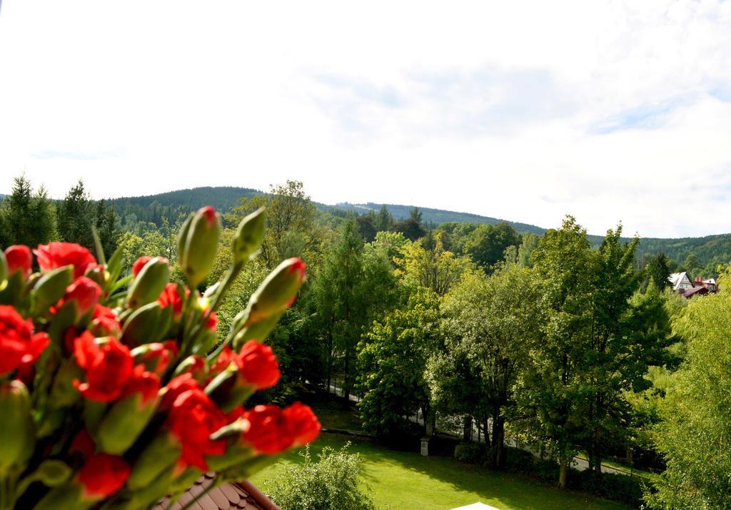 Villa Vital Świeradów-Zdrój Pokój zdjęcie